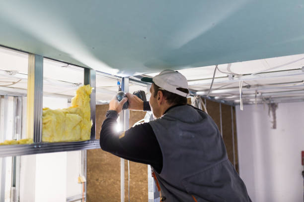 Insulation for Commercial Buildings in Wanatah, IN